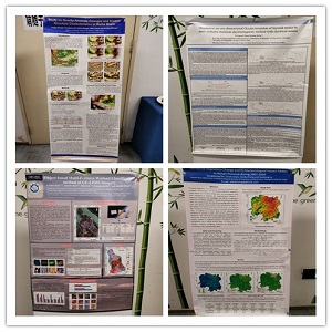 Poster Presentations