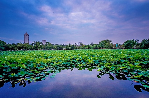 Capital of Yunnan Province