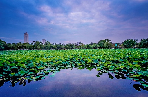 Capital of Yunnan Province